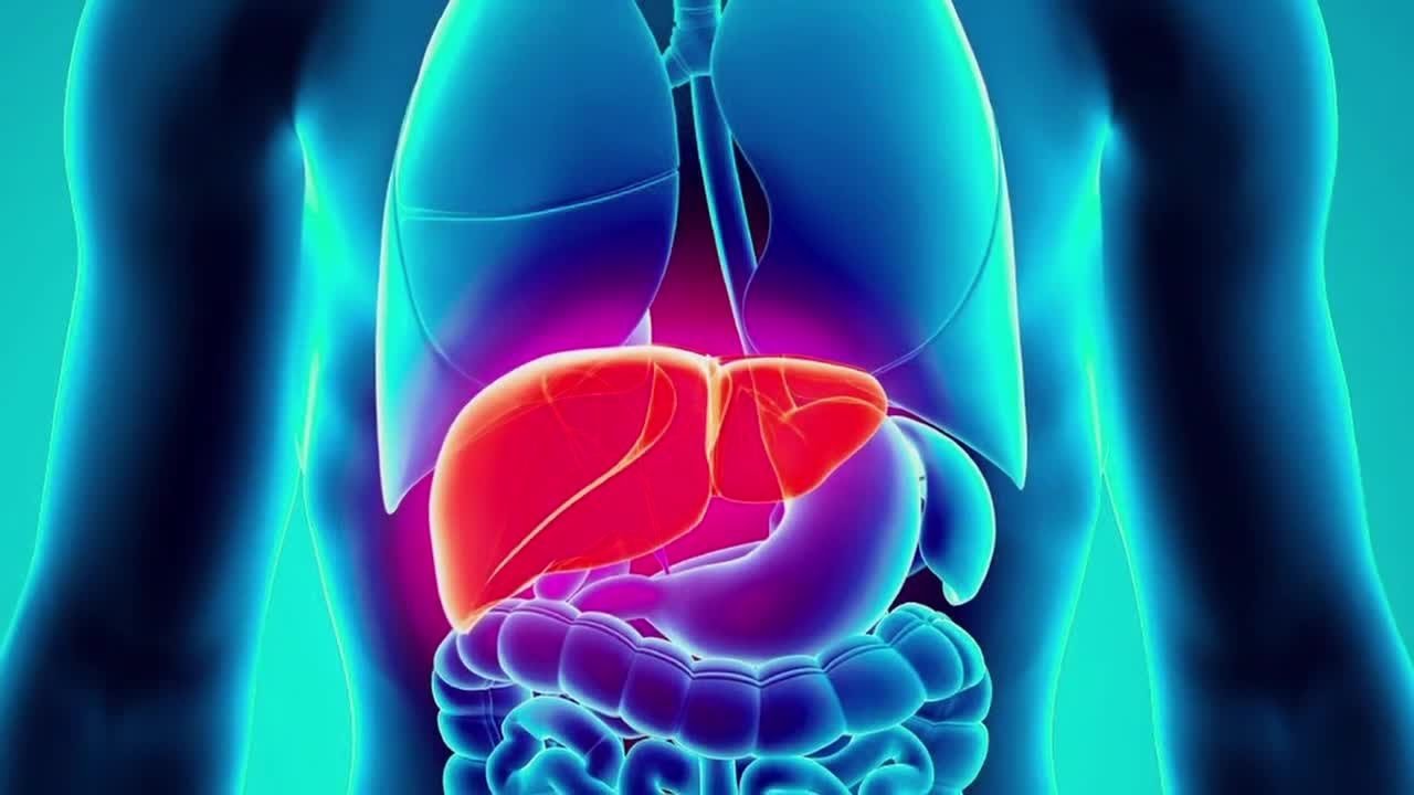 علاج الكبد بالخلايا الجذعية