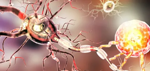 علاج أمراض المناعة الذاتية