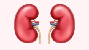 الخلايا الجذعية