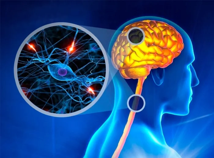 فعالية العلاج بالخلايا الجذعية للتصلب