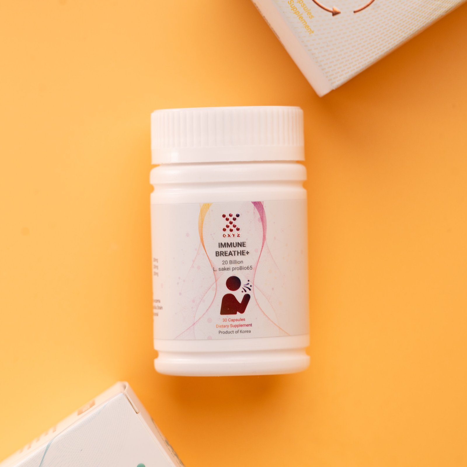 Untitled-5280-scaled